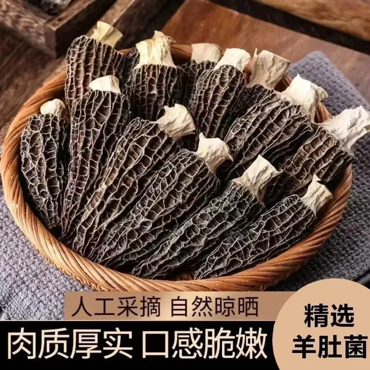 正宗云南干羊肚菌2025新货精选高品质头茬羊肚菌高山林地羊肚菌干