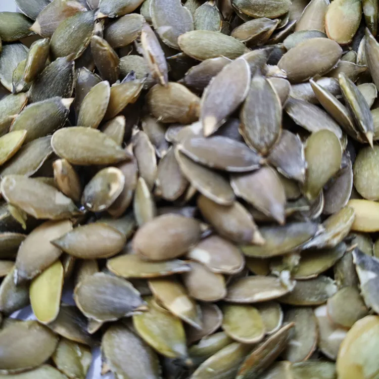 原味生南瓜子营养丰富食用方便新货零食