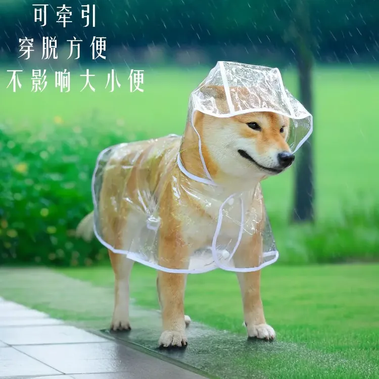 狗狗雨衣透明防水雨披金毛大型犬泰迪小型犬宠物斗篷柔软舒适方J