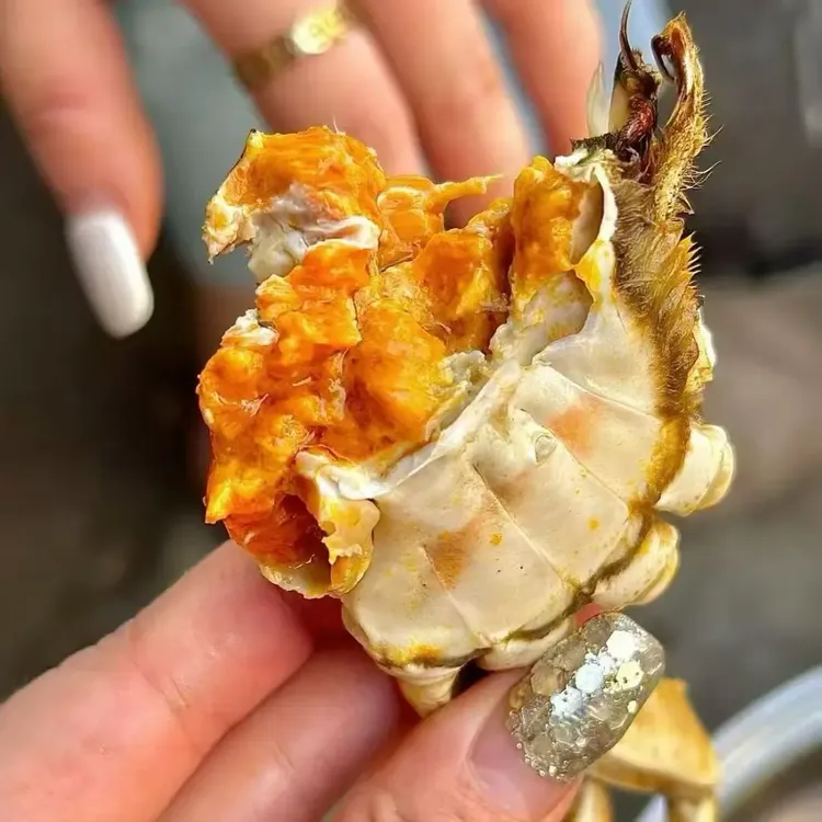 【活蟹】精品大闸蟹 全母九指母2.8两5/8/10只江浙沪皖包邮