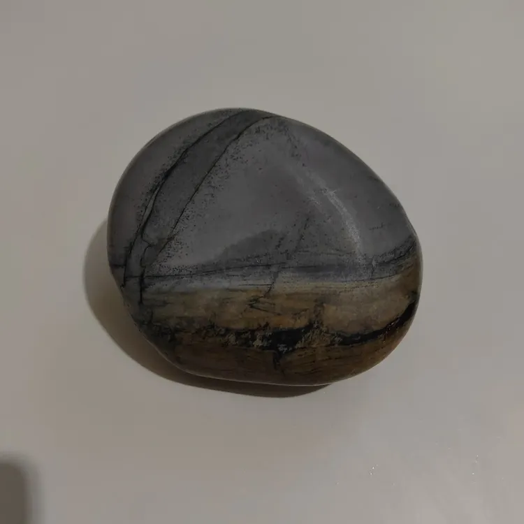 新疆塔里木河特色装饰摆件，室内外装饰收藏佳品