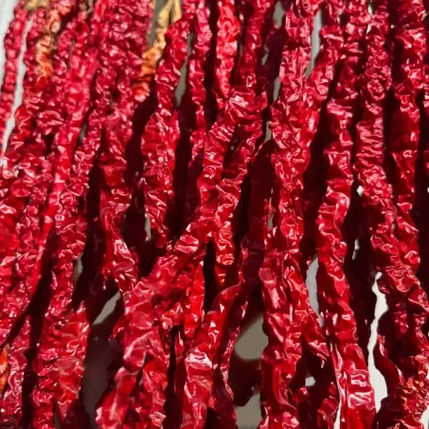 贵州威宁哈喇河本地新鲜长线椒干500g