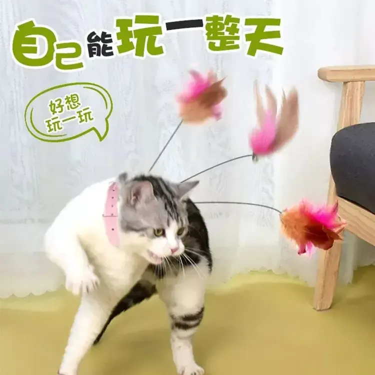 猫咪自嗨互动项圈逗猫棒解闷耐咬成幼猫多功能通用可调节羽毛玩具