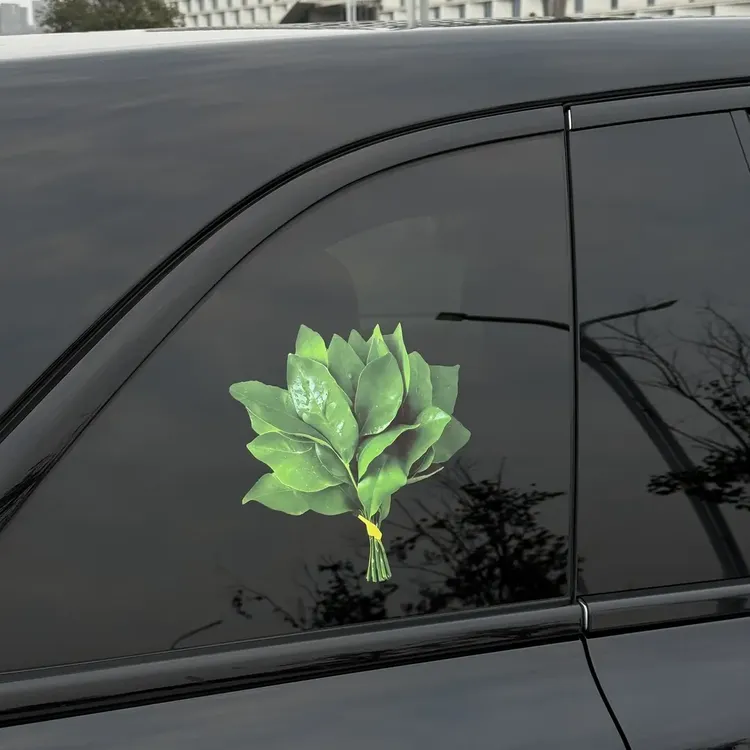 【咕噜】有趣个性好运柚叶汽车车窗贴纸晦气走好运柚子叶汽车贴画