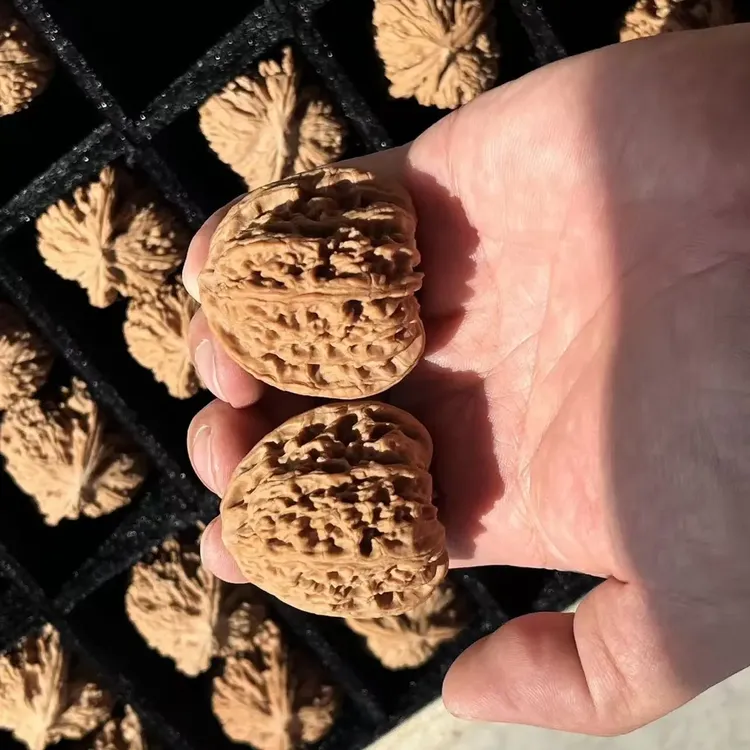 老树全品南疆石 尺寸可选