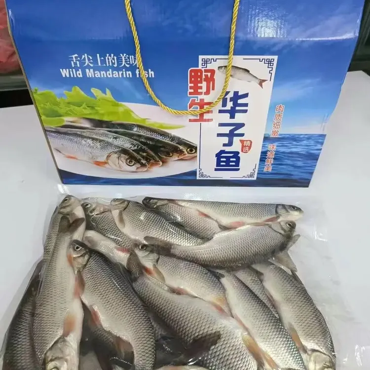 克旗发货新鲜华子鱼华子鱼冷链冷冻发货