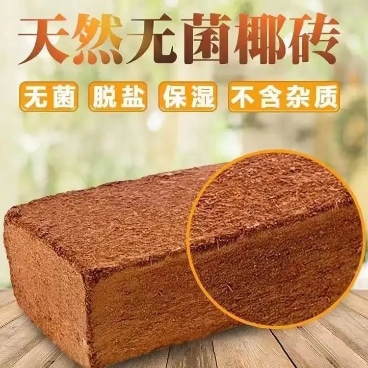 乌龟冬眠土椰砖蜗牛蜘蛛蝎子角蛙陆龟冬眠防寒保暖保湿蜗牛椰土商品图