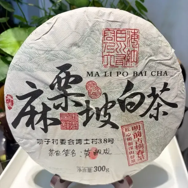 云南麻栗坡白茶明前深山古树春茶茶叶云南白茶