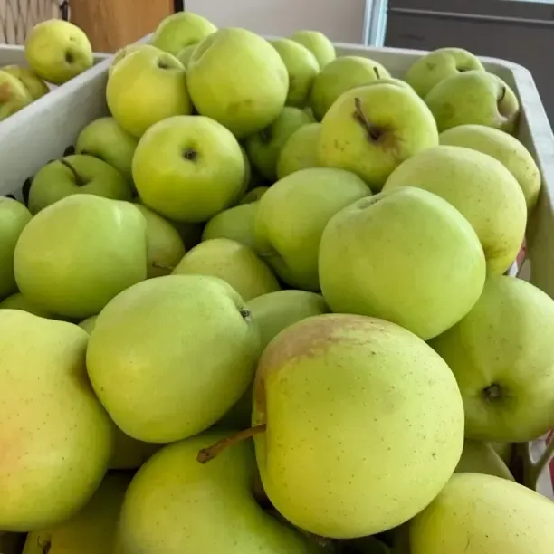 新鲜苹果产地直发脆口感多样可选