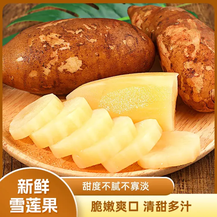 【五斤批发】天山雪莲果新果农家新鲜脆甜现挖多汁水果整箱直发到家