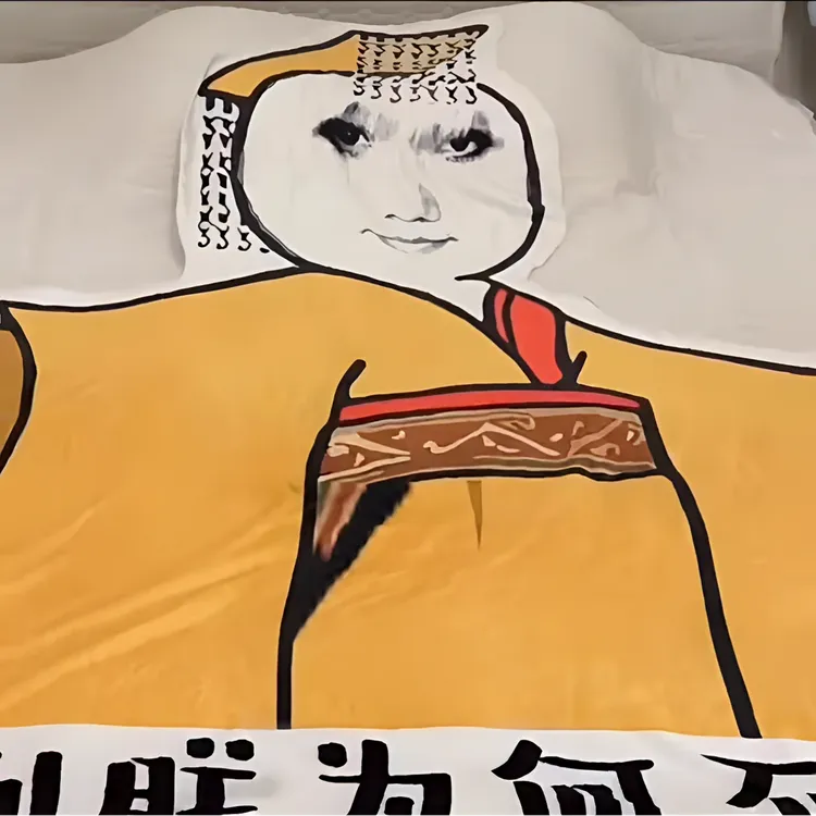 【搞怪】皇帝龙图毛毯 异形搞怪午睡空调毯毛毯凉被抽象龙图单人毯