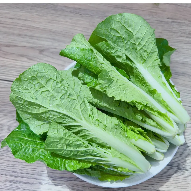 农家自种小白菜现割新鲜小白菜快菜青菜鸡毛菜时令蔬菜包邮