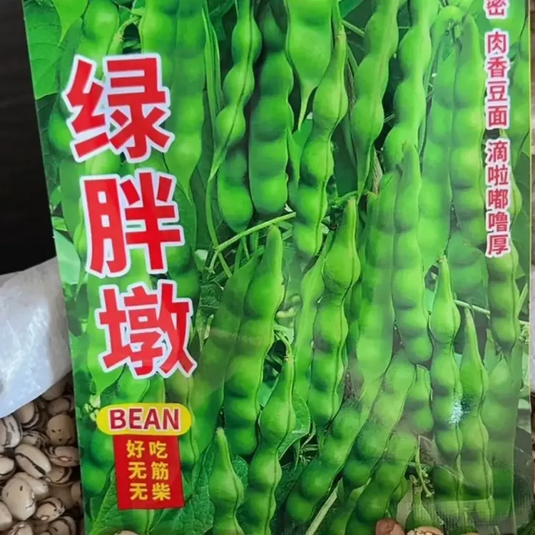 绿胖墩鼓豆面豆豆角种子（新籽）