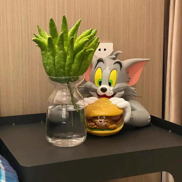 W佛手柑器皿花瓶水养植物专用水培观赏插花容器摆件陶瓷玻璃透明