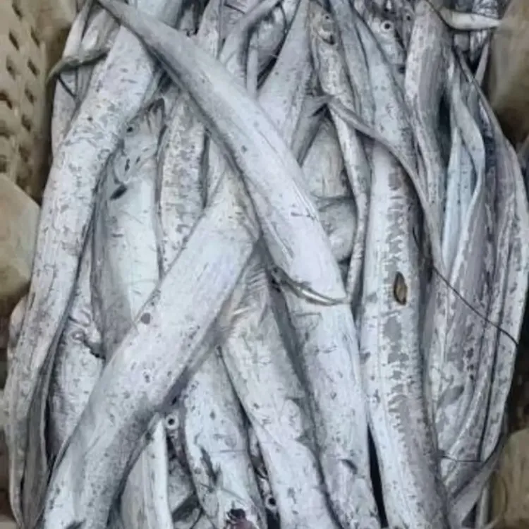 羊口本地新鲜海捕整条小眼睛带鱼可蒸带鱼品质好