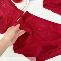 千禧羊毛红色蕾丝刺绣无痕内裤29058