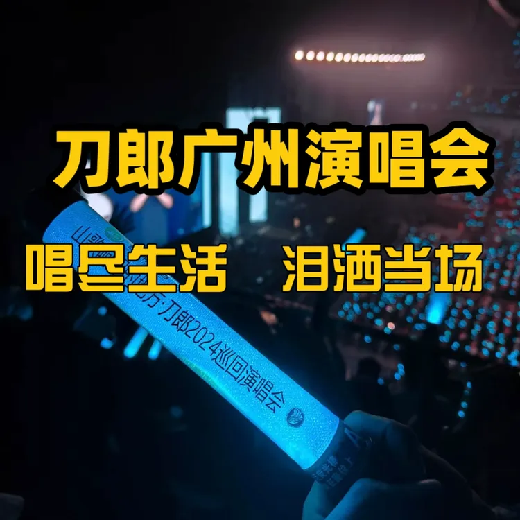 2024刀郎成都广州演唱会车载u盘