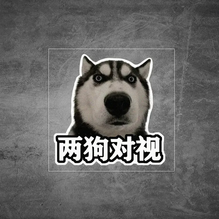 表情两狗对视车贴搞笑表情包汽车贴纸后尾装饰个性防水专用贴画