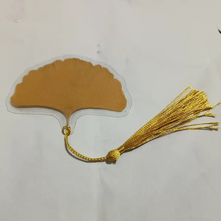 真树叶树叶子银杏叶塑封干花标本书签简约认知卡片手工diy天然