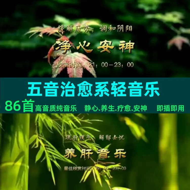 五音静心轻音乐u盘纯音乐MP3音频五音疗愈静心休闲轻音乐车载U盘