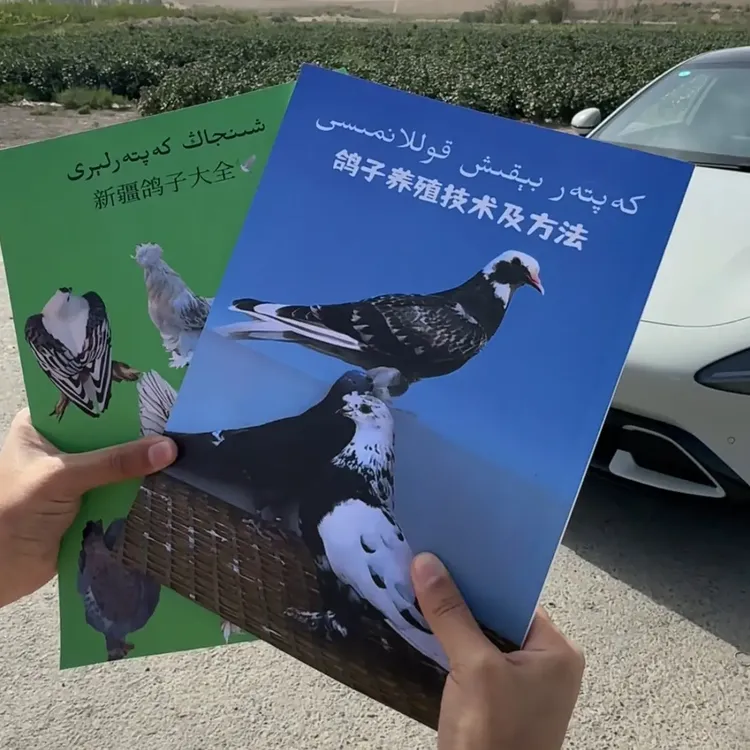 كەپتەر بىقىش قوللانمىسى