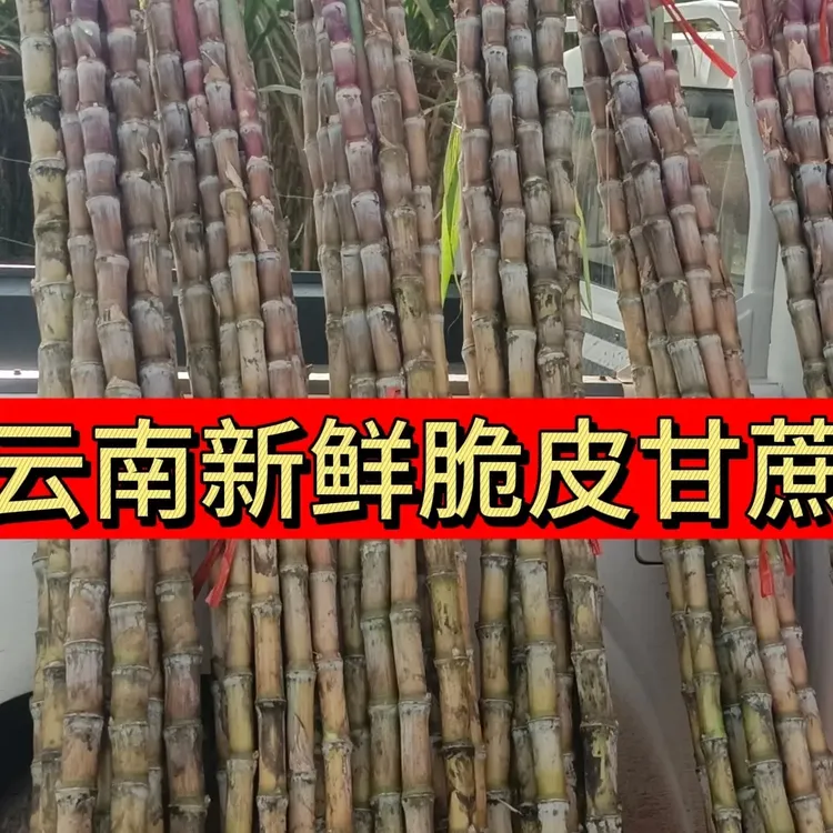 云南老品种脆皮甘蔗新鲜现砍脆甜多汁清甜皮薄农家自种高山种植