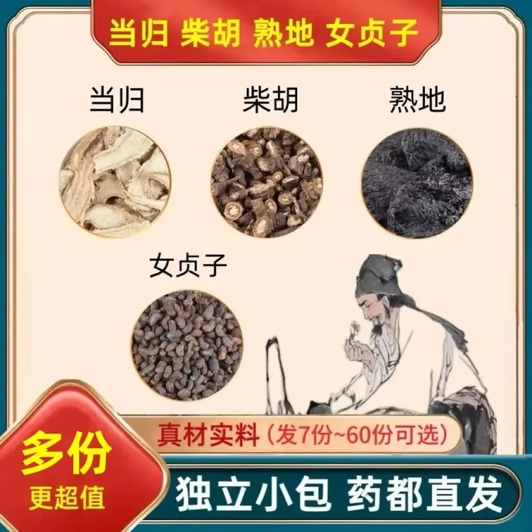 当归柴胡熟地女贞子独立包装组合中材熟地黄女真子功效与作用茶姜