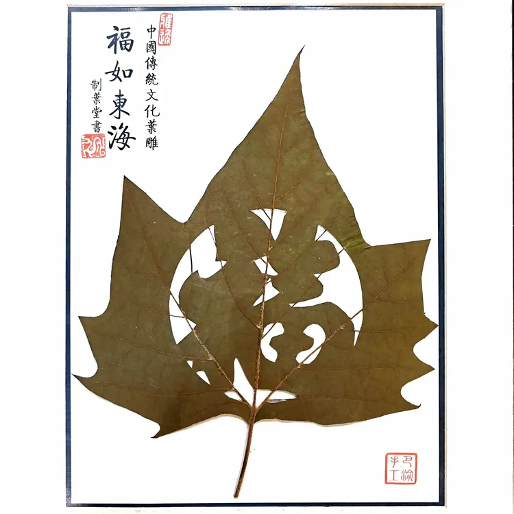 法国梧桐叶雕（剪叶）手工体验套装   手工叶雕Diy套装