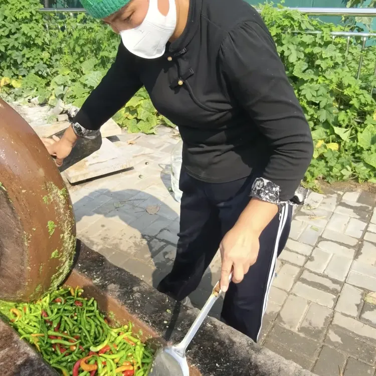 手工制作韭菜花辣椒酱香辣可口