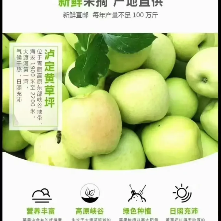 新鲜现摘青苹果当季应季水果酸甜脆爽可口