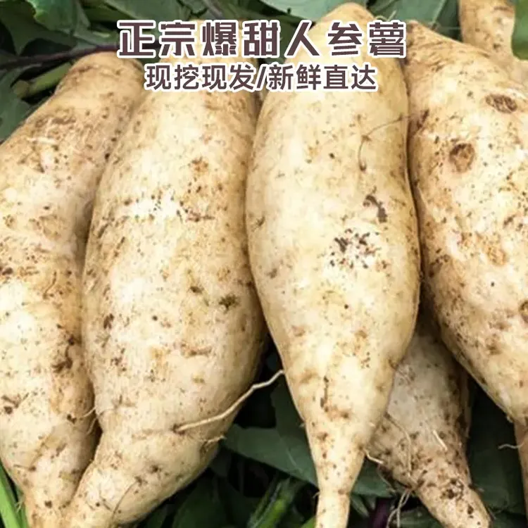 白皮白心人参薯板栗地瓜新鲜小白香红薯桥头现挖番薯鸡蛋黄蜜薯粉
