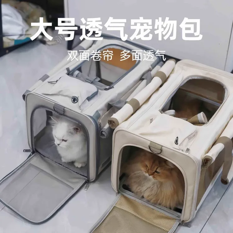 2025两只猫咪外出手提航空箱大容量透气宠物猫包春游大号可折叠猫