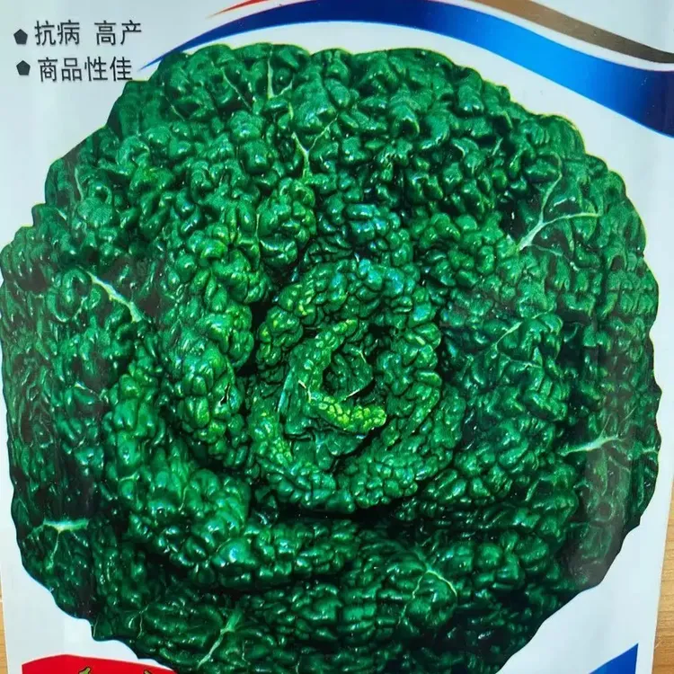 乌塌菜种子高钙保健蔬菜养心菜黑白菜种子四季播种农家易种黑心乌