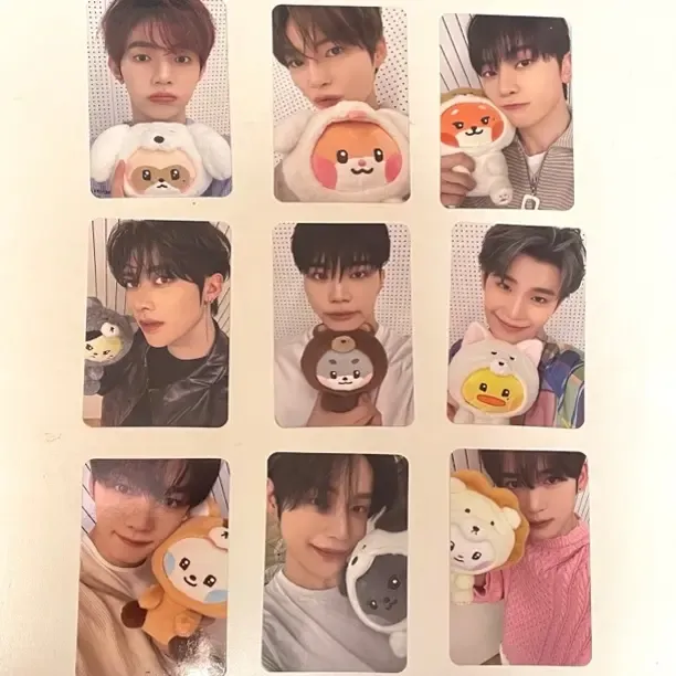 【正品现货】zeroni FLUFFY Wonderlang满额卡zb1