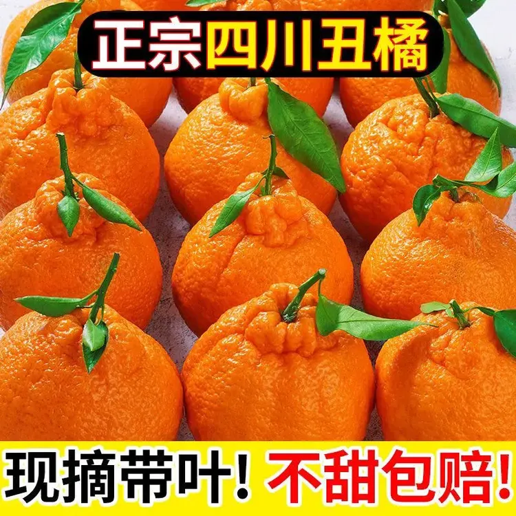 现摘发高山丑橘字酸爽丑桔子不知火1-9斤新鲜采摘应季水果丑八怪