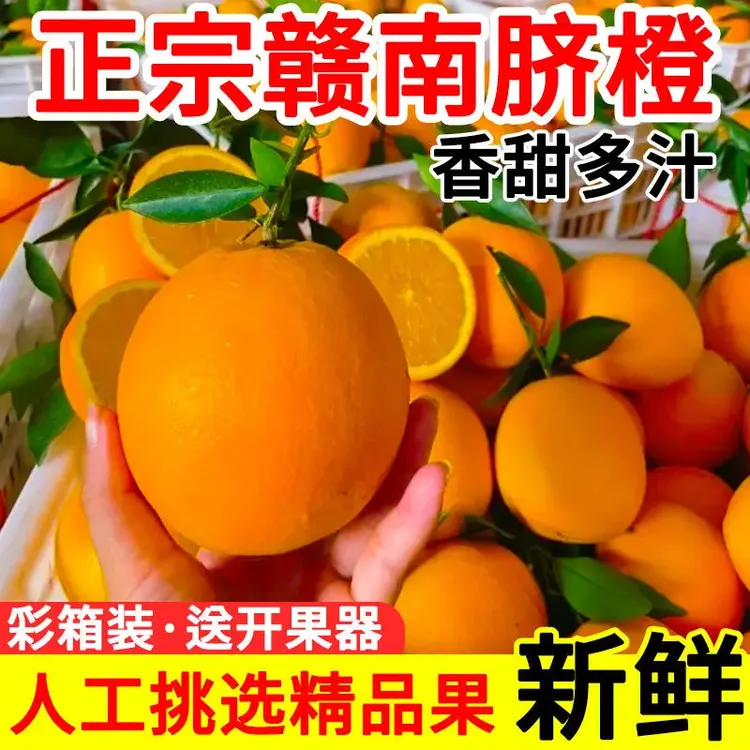 【精品果】正宗江西赣南脐橙新鲜赣州产地直发整箱大果应季橙子水果