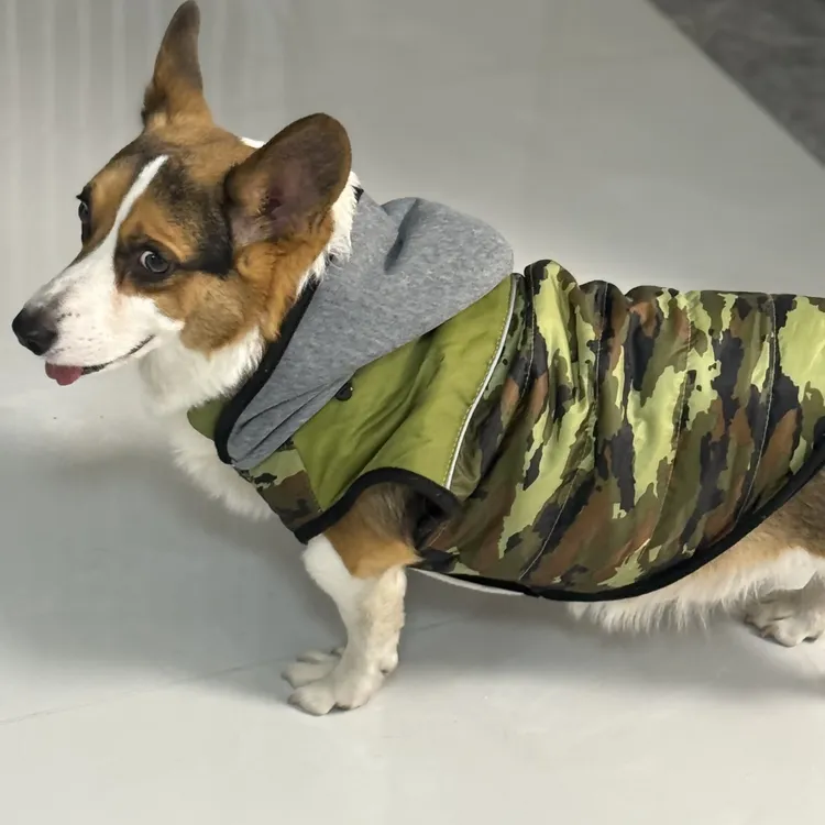 中大型犬秋冬加厚保暖防水防雪绣花拉链两脚宠物衣服