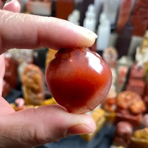 精选红皮大果非洲佛心果 中金包玉释迦菩提