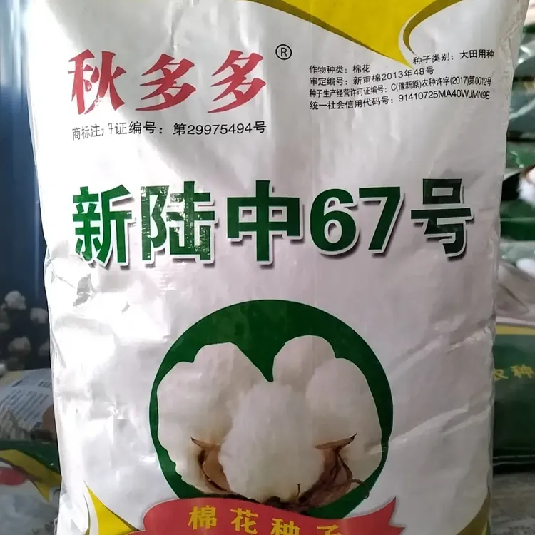 秋多多6号高产棉种