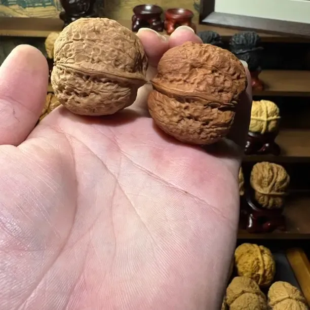 云南野生铁核桃蝴蝶连体精挑全品无修