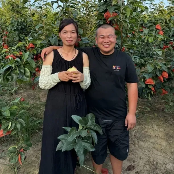 黄金酥脆一号脆甜多汁皮薄新鲜应季水果