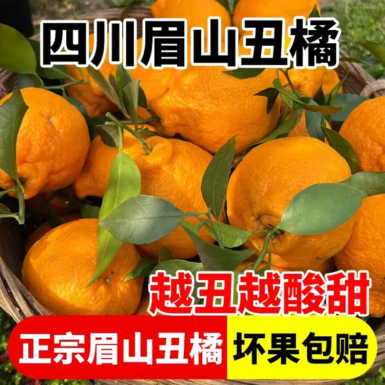 高山不知火丑橘丑八怪橘子丑柑橘子当季新鲜时令水果孕妇产地直发
