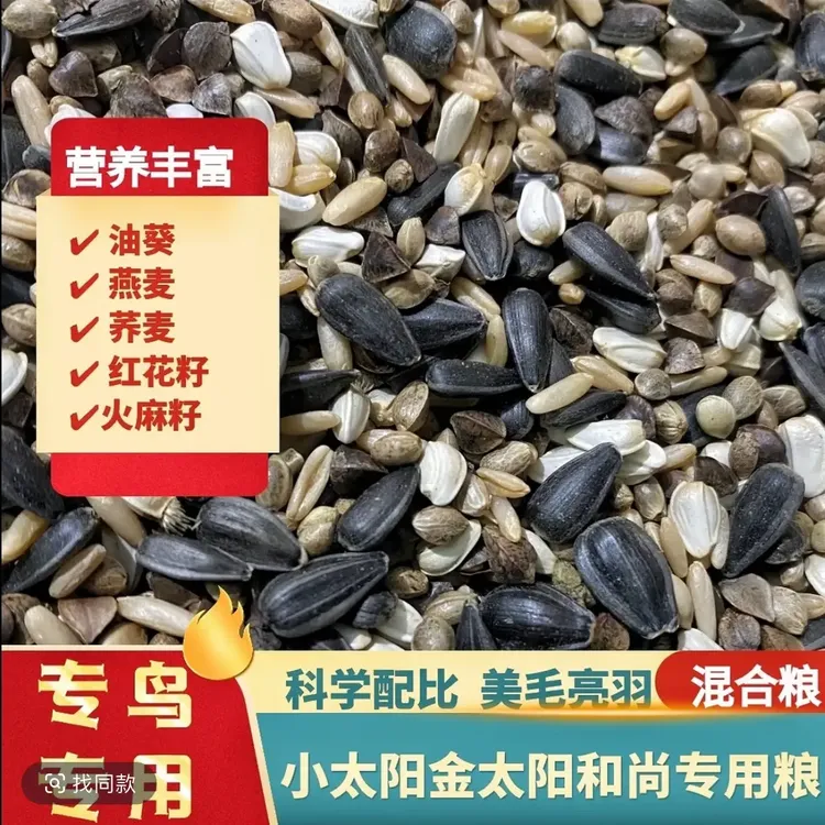 小太阳和尚金太阳凯克鹦鹉混合粮中大型带壳种子麻子营养鸟食饲料