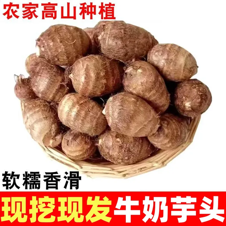 只发新疆【今年芋头新鲜】牛奶芋头粉糯香芋香糯批发芋仔艿芋蔬菜