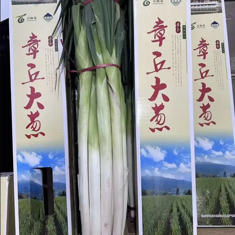 正宗章丘大葱高白脆甜山东大葱包邮到家