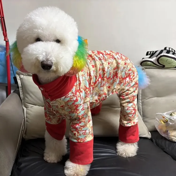 狗狗秋冬加厚保暖四脚衣红色喜气适合大型犬日常穿着