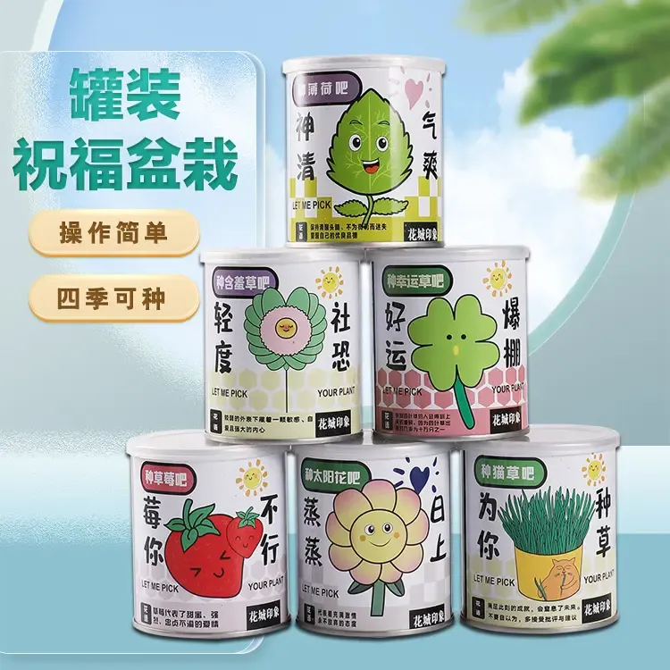 幸运四叶草幸运草室内迷你桌面罐罐植物种植小盆栽儿童种植罐子