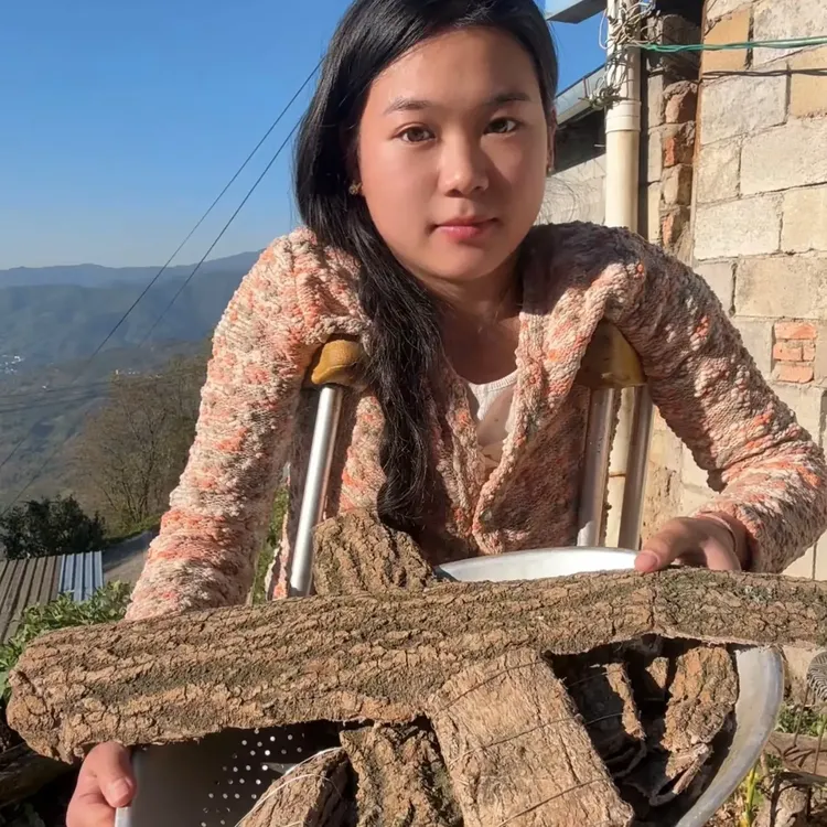 云南深山杜仲老树皮新货泡水泡酒煲汤滋补包邮30年以上的杜仲皮