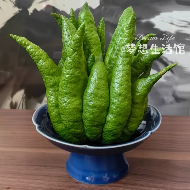 佛手柑花瓶器皿托盘中式复古摆放摆盘观赏佛手托盆水培养花容器新
