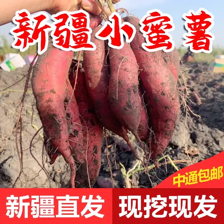 新疆187团3连红薯紫薯榴莲蜜西瓜红5斤自种红心红薯蜜薯无丝糯甜